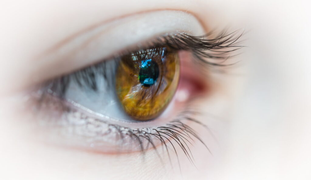 Oog