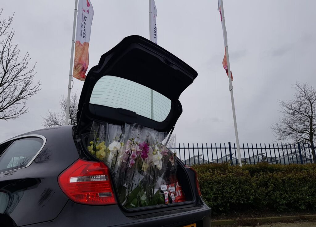 Bloemen