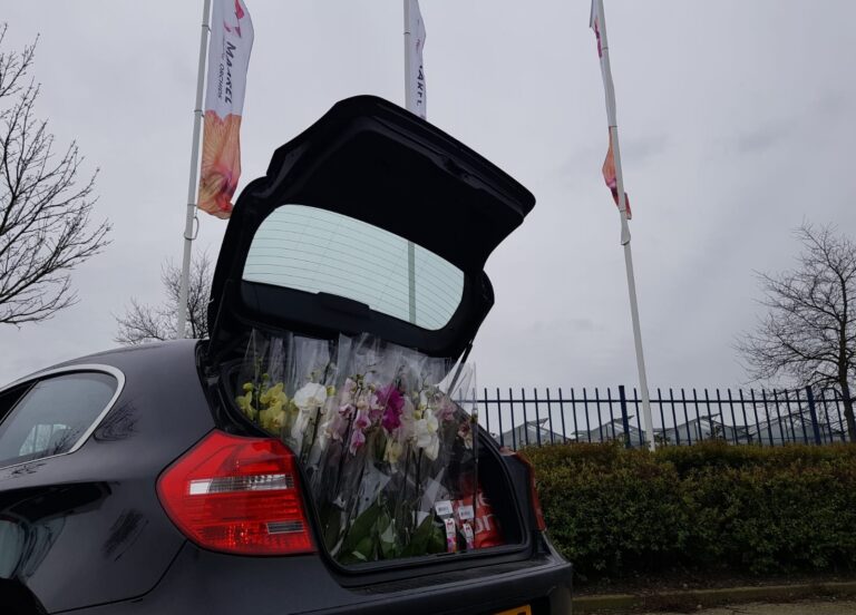 Bloemen