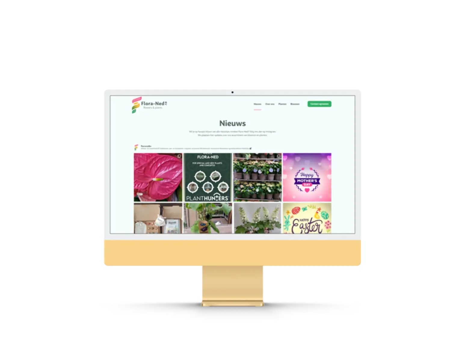 Floraned-website-Westland-afbeelding-4-1