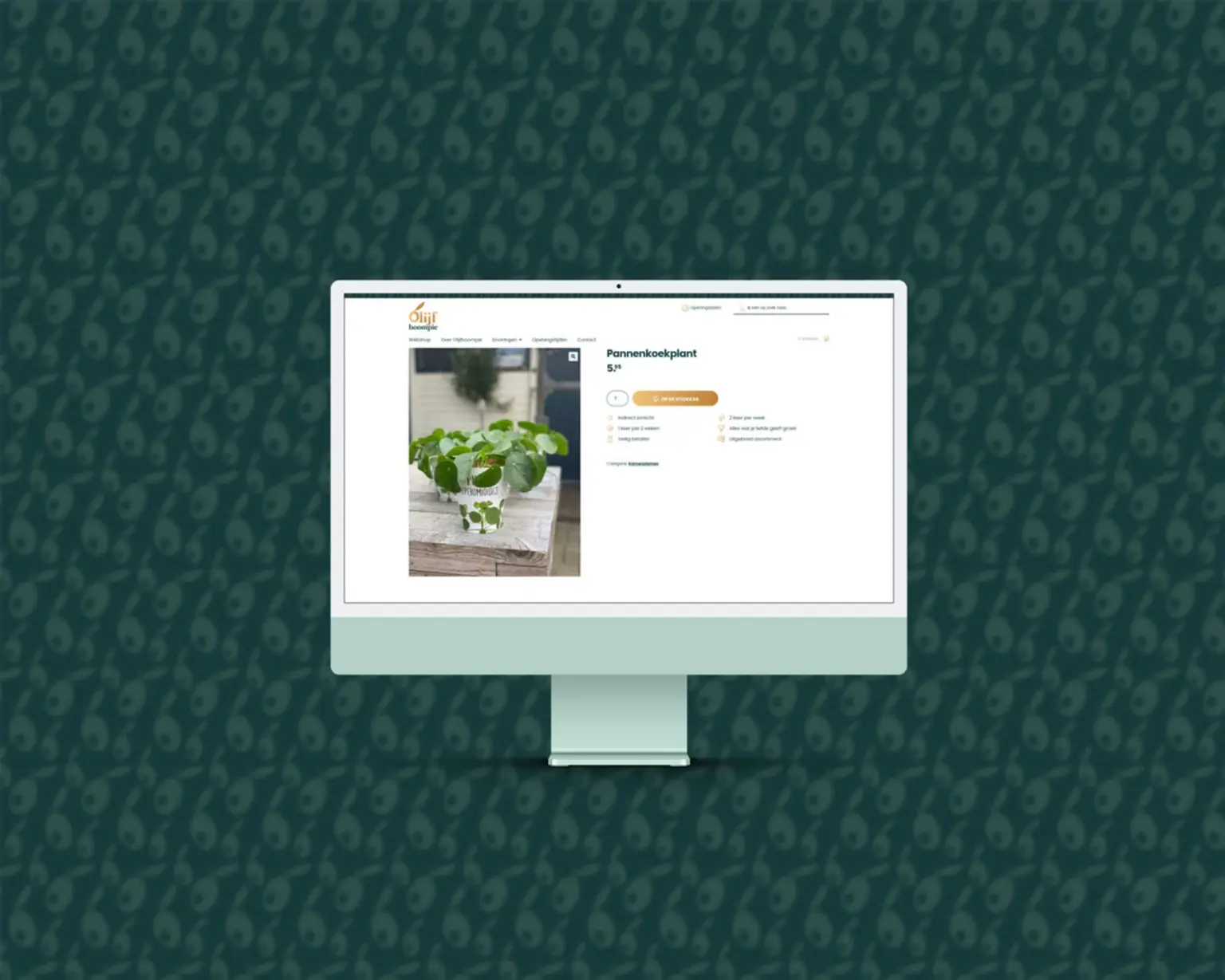 Olijfboompie-Case-Westland-desktop-website-2