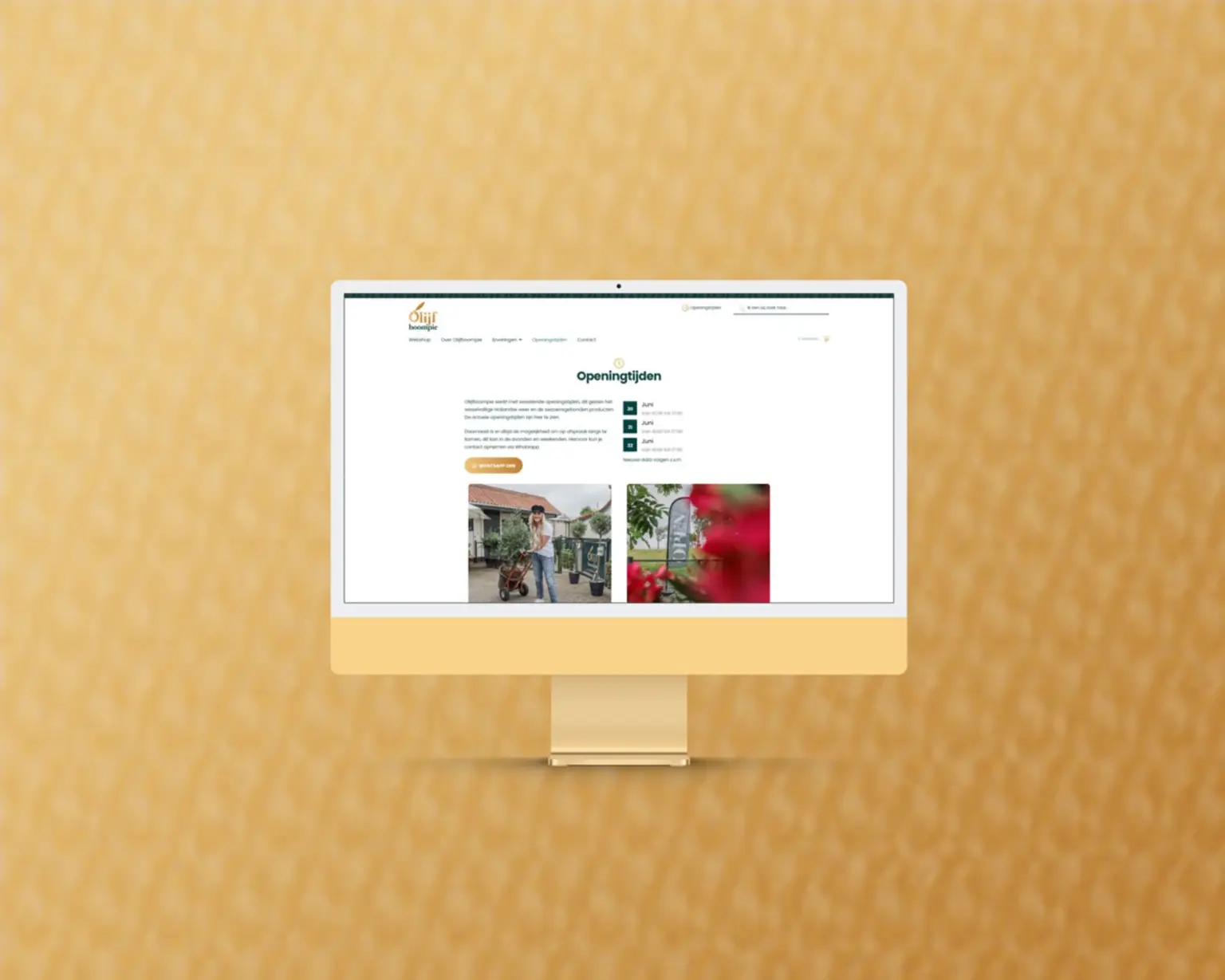 Olijfboompie-Case-Westland-desktop-website-5