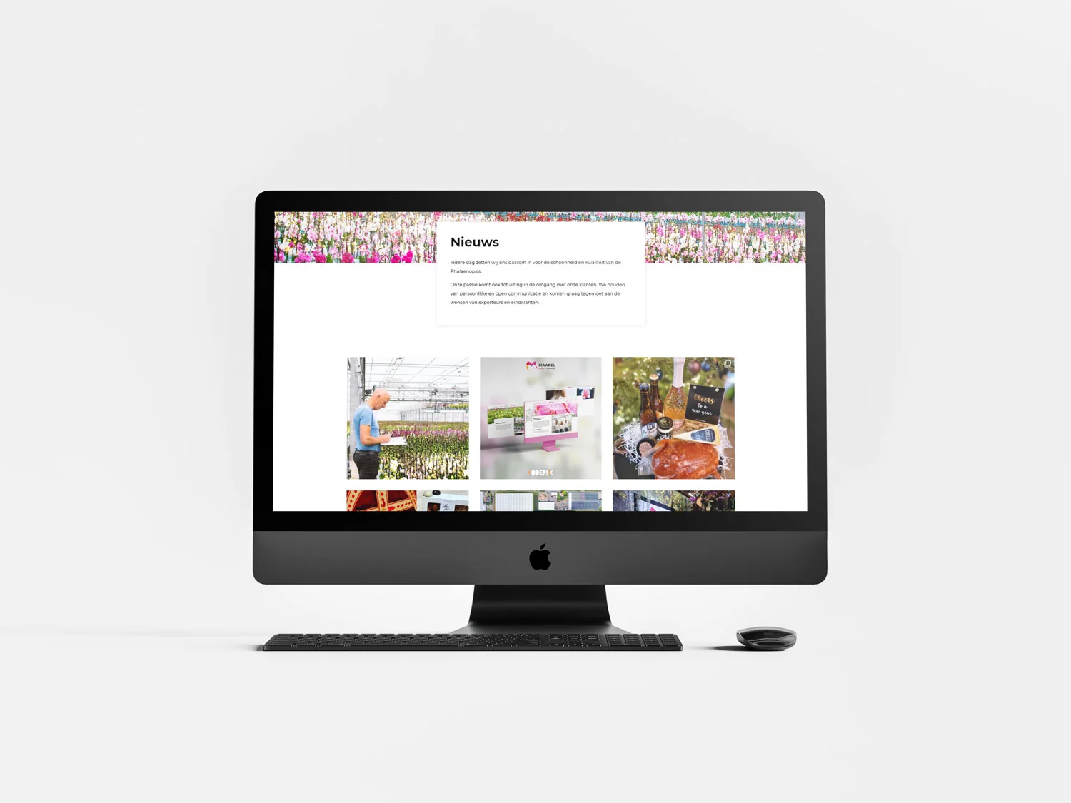 Maarel Orchids cases