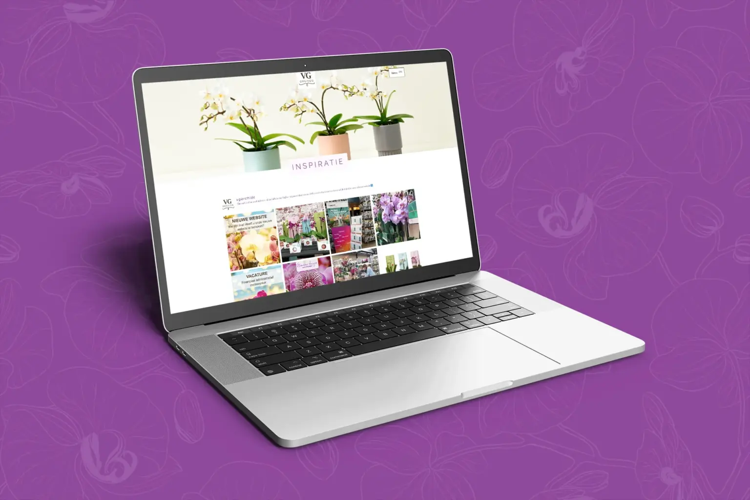 VG Orchids casus