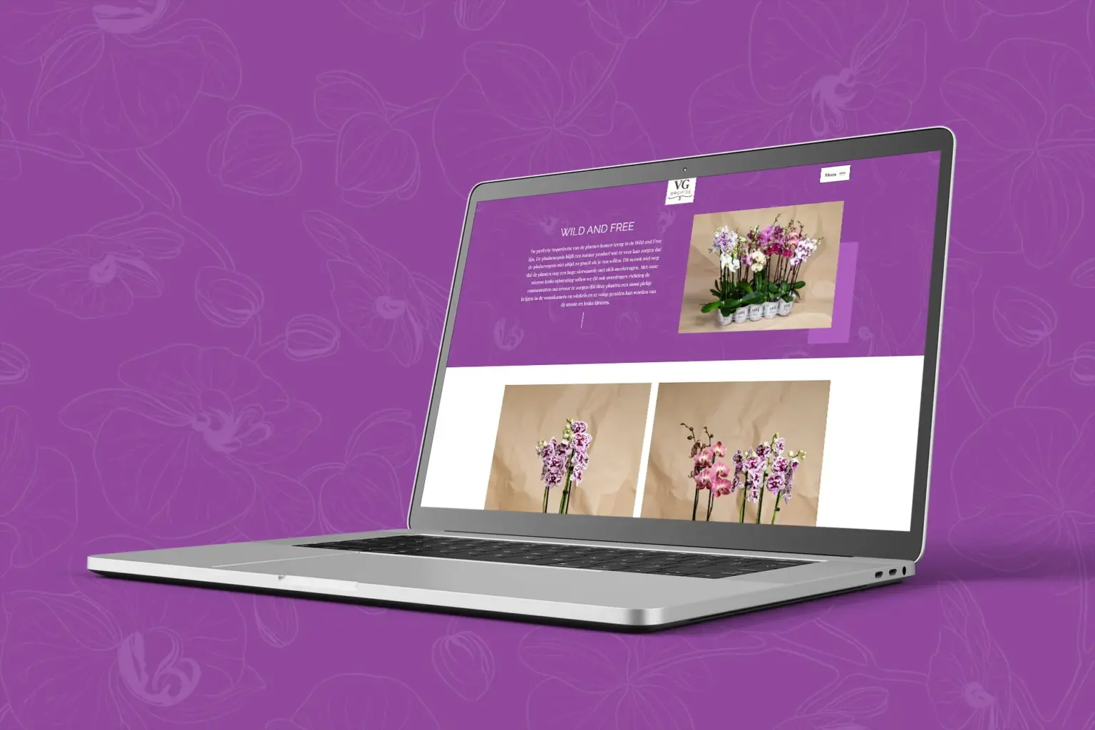 VG Orchids casus