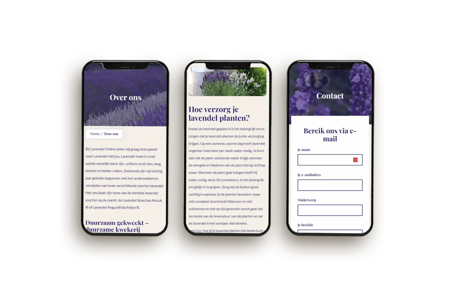 Lavendelonline-website-ontwikkeling-case-foto-4