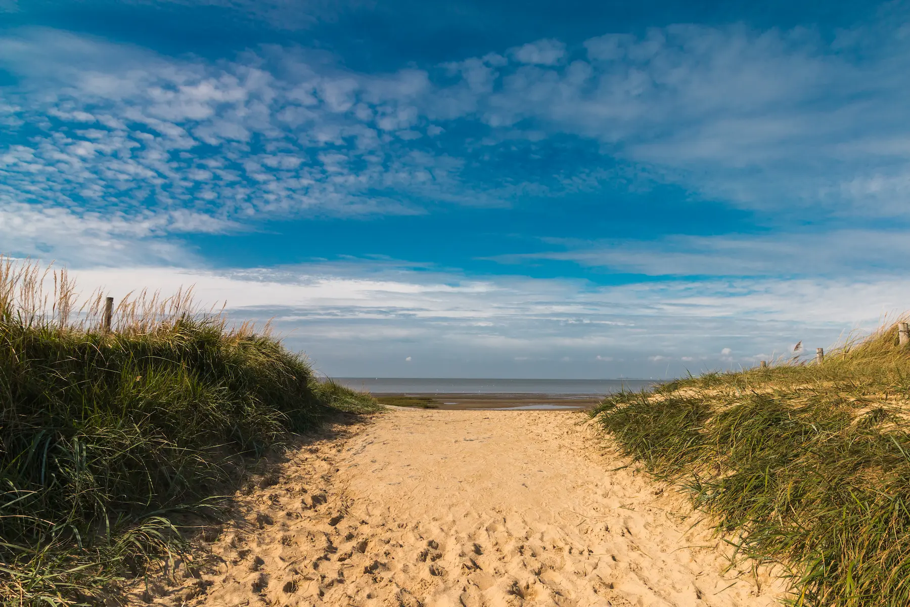 Strandweer.nu