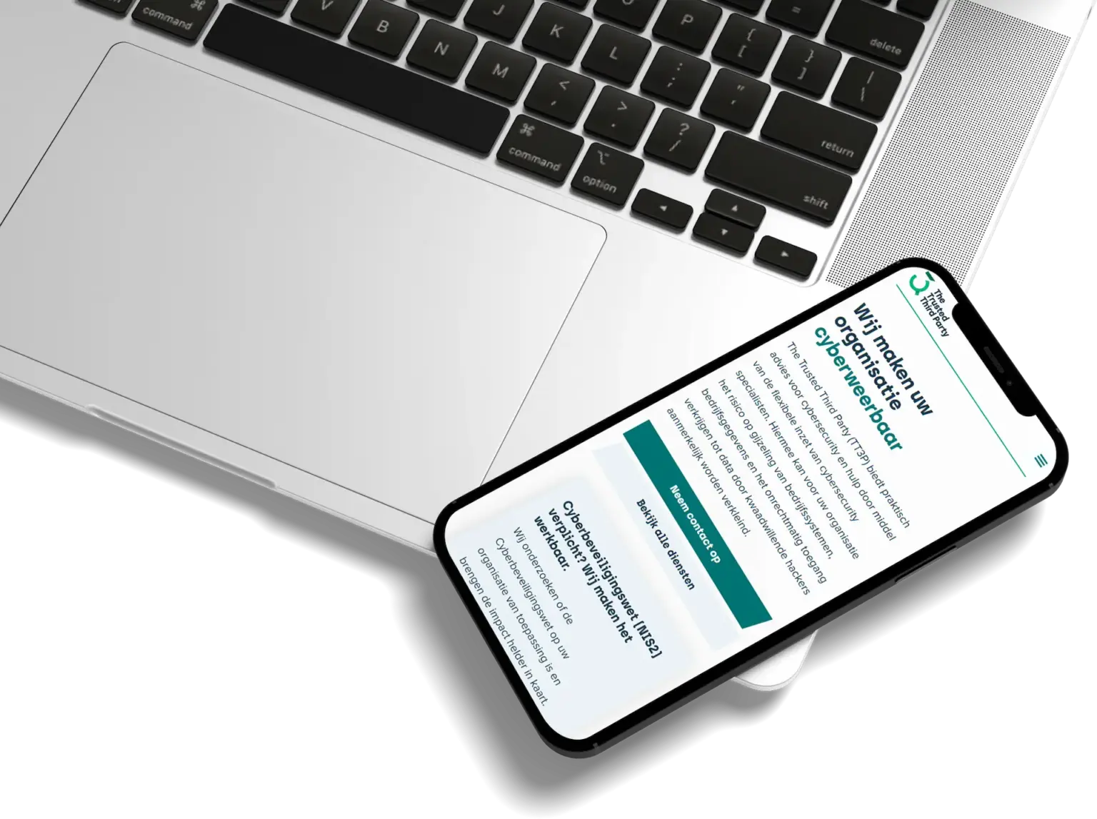 TT3P website case 1