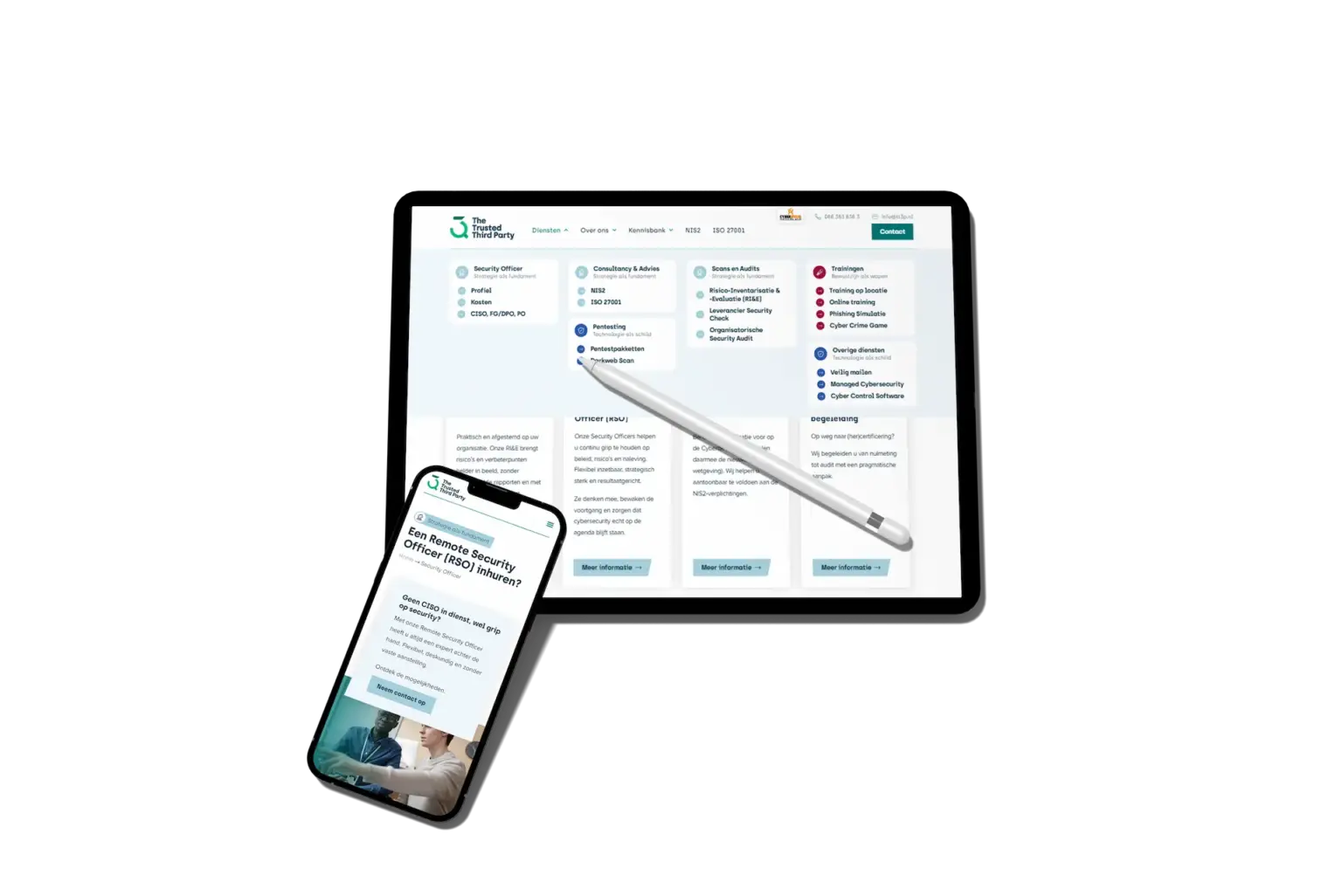 TT3P website case 3