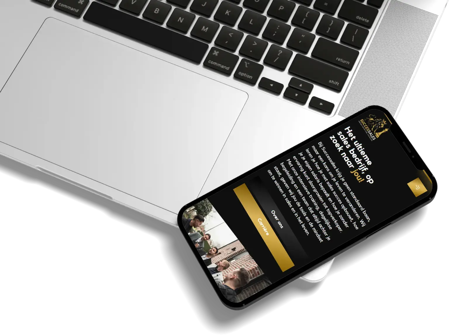 successales website case 1