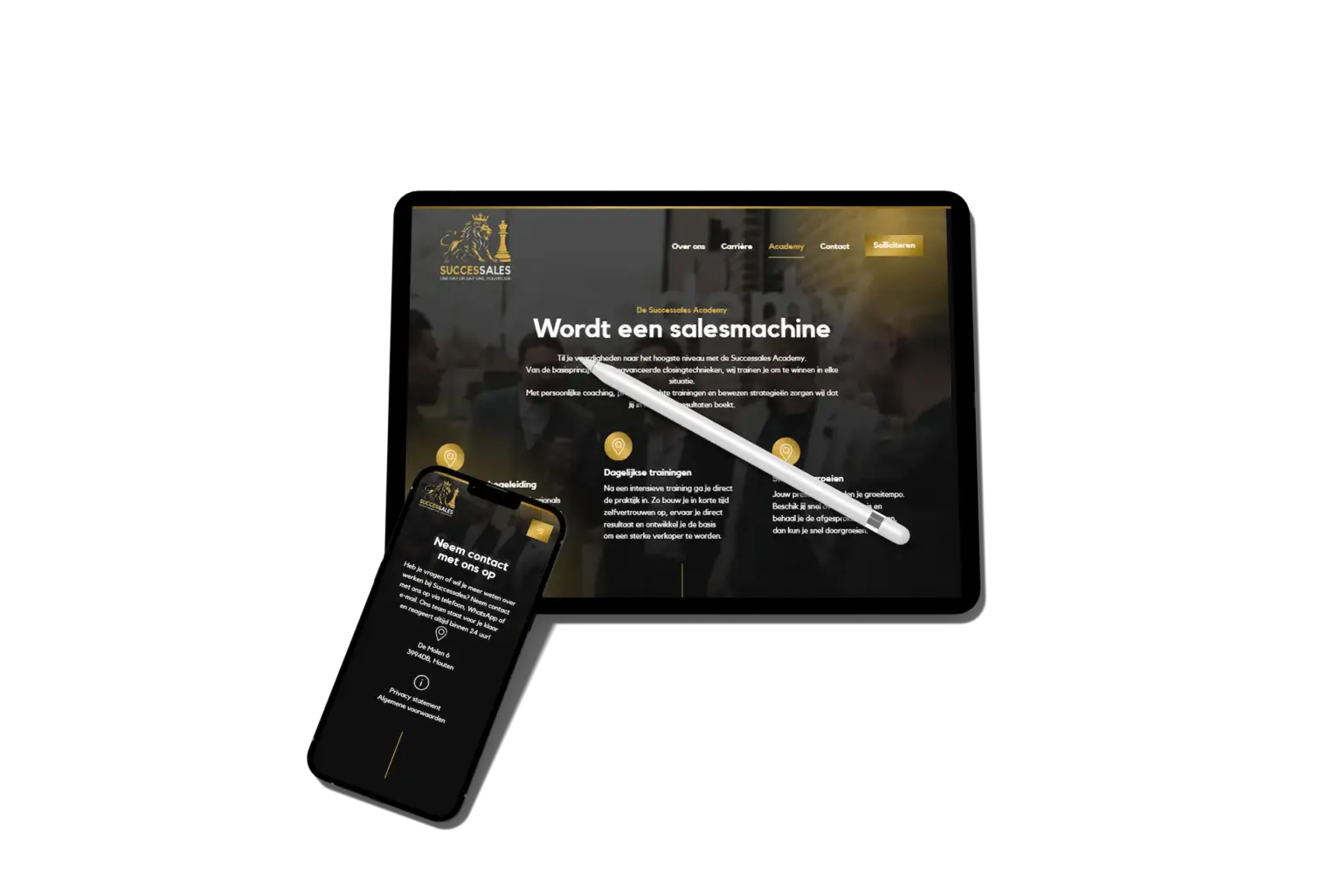 successales website case 3