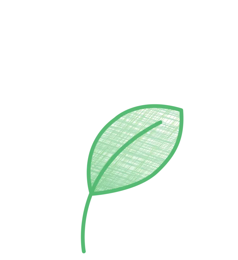 Case 2Grow