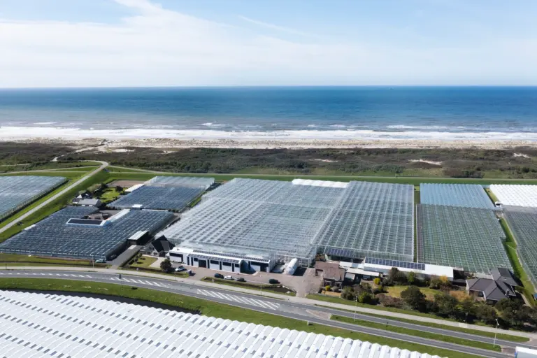 Drone foto Westland